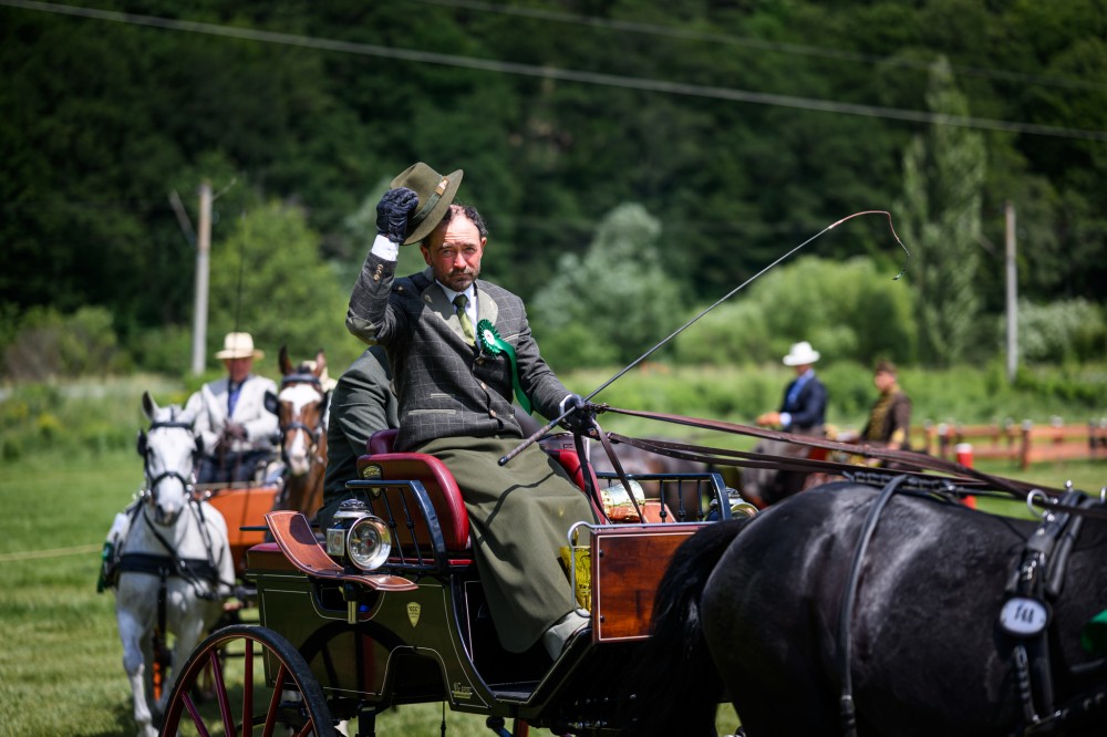 Bartha Eduárd végzett az élmezőnyben. Sikeresen lezajlott az oltszemi fogathajtó verseny
